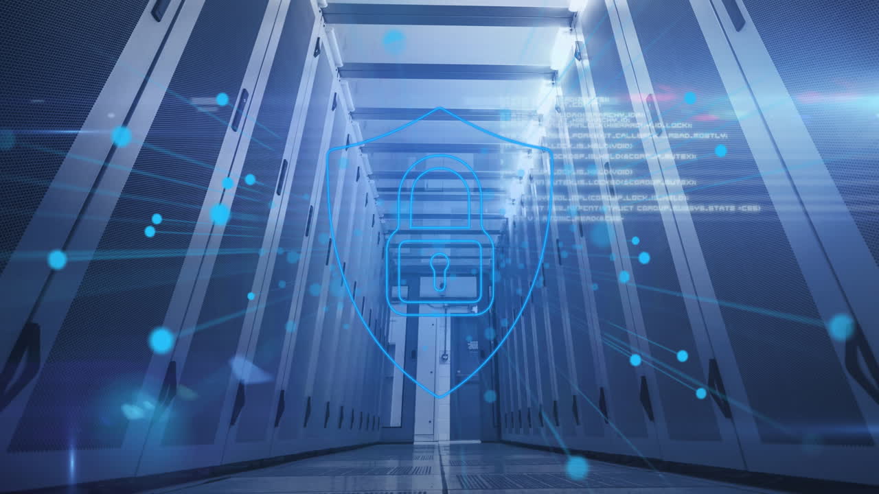 데이터 프로세싱의 애니메이션과 서버  ⁇ 의  ⁇ 락