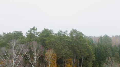 Una-Vista-Aérea-Vista-Panorámica-Del-Bosque-A-Principios-De-La-Mañana-De-Otoño-Al-Atardecer