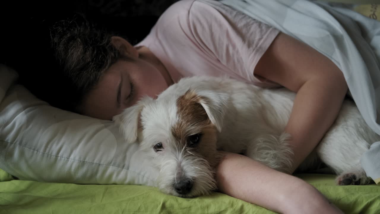 십대 소녀는 그녀의 잭 러셀 테리어 개와 함께 침대에서 잠을 자고 있습니다.