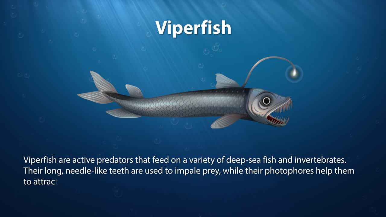 анимированная рыба-ястреб плавает в глубине океана.