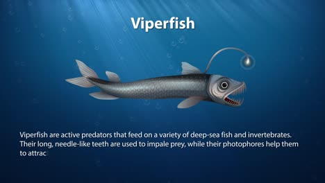 animated viperfish swims through the ocean depths