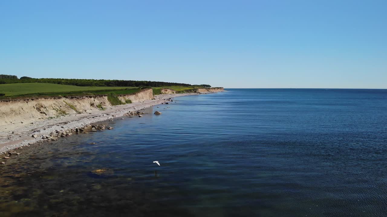 갈매기가 아래 바다를 향해 가는 동안 작은 절벽과 무성한 녹색 들판이 있는 고요한 덴마크 해안선의 공중