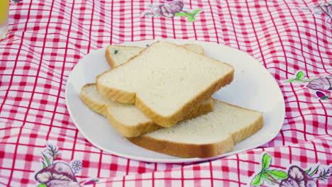 Hand-put-off-in-slow-motion-a-couple-of-flies-that-landed-in-a-bunch-of-slice-bread-outside-in-the-morning-camping-in-the-nature