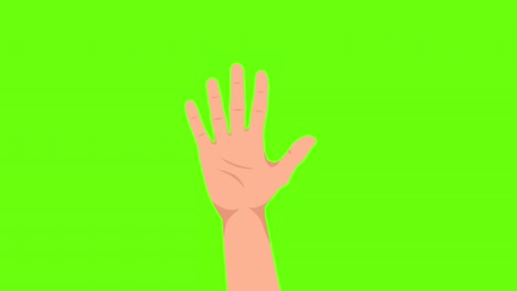 saludos. una mano de bienvenida. el hombre agita su mano en saludo. animación 4k. pantalla verde
