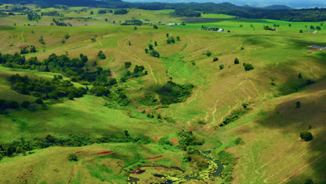 Vuelo-De-Drones-Sobre-Campos-Vibrantes-En-Las-Mesetas-De-Atherton,-Queensland,-Australia