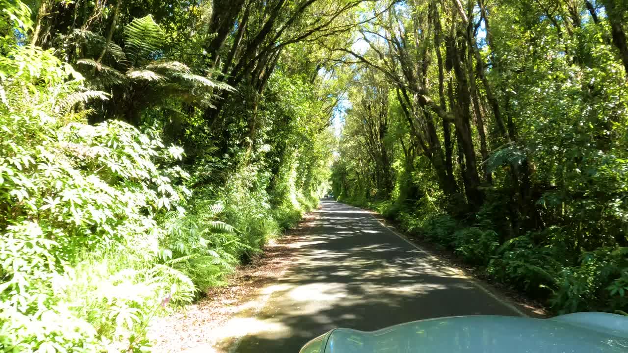 conducción de automóviles en la carretera que va hacia dawson falls en taranaki, nueva zelanda