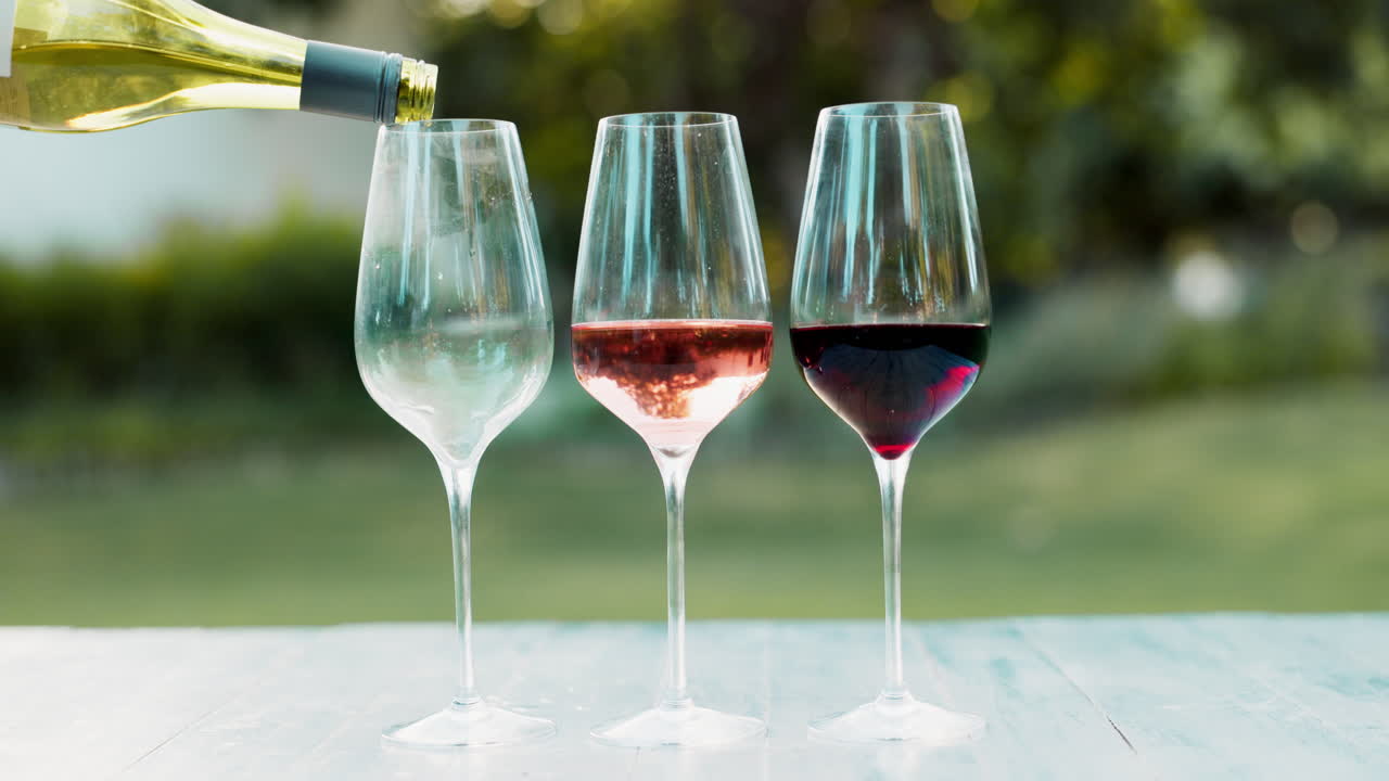 야외에서 다양한 와인을 컵에 부어 넣는 것