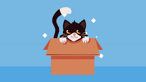un pequeño gato lindo en una caja de cartón de animación