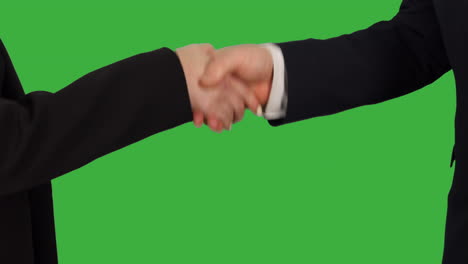 dos personas, hombres y mujeres, socios de negocios, dándose la mano - pantalla verde