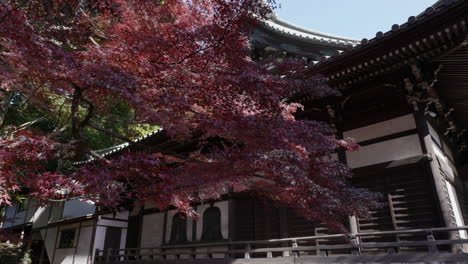 the sanpoji buddhist temple is located in the shakuji neighborhood in tokyo, it is very beautiful and is located near shakiji park