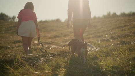 family climbing up hilly farmland under warm sunlight, including two women and one child with dog walking beside them, carrying flowers, enjoying nature, outdoor adventure and exercise