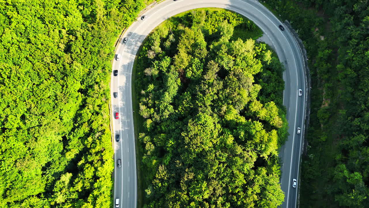 Winding road through lush green forest. Cars navigate a curving road surrounded by dense greenery in a tranquil natural setting during daylight