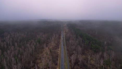 겨울에 안개와 함께 숲을 가로지르는 직선 도로. 믿을 수 없는 공중 전망 비행 오버플라이 오버 드론
