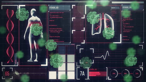 medical data and virus cells animation over human body and lungs diagram