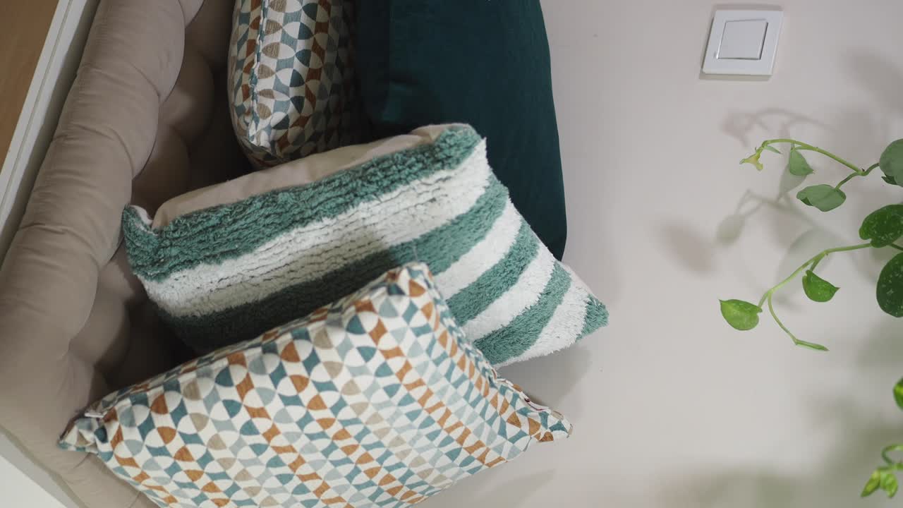 Cushions on a couch with houseplant