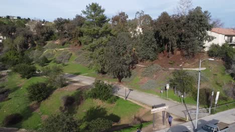 aerial view of lush green park