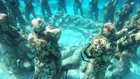 beautiful underwater park of gili meno indonesia with tropical colorful fish