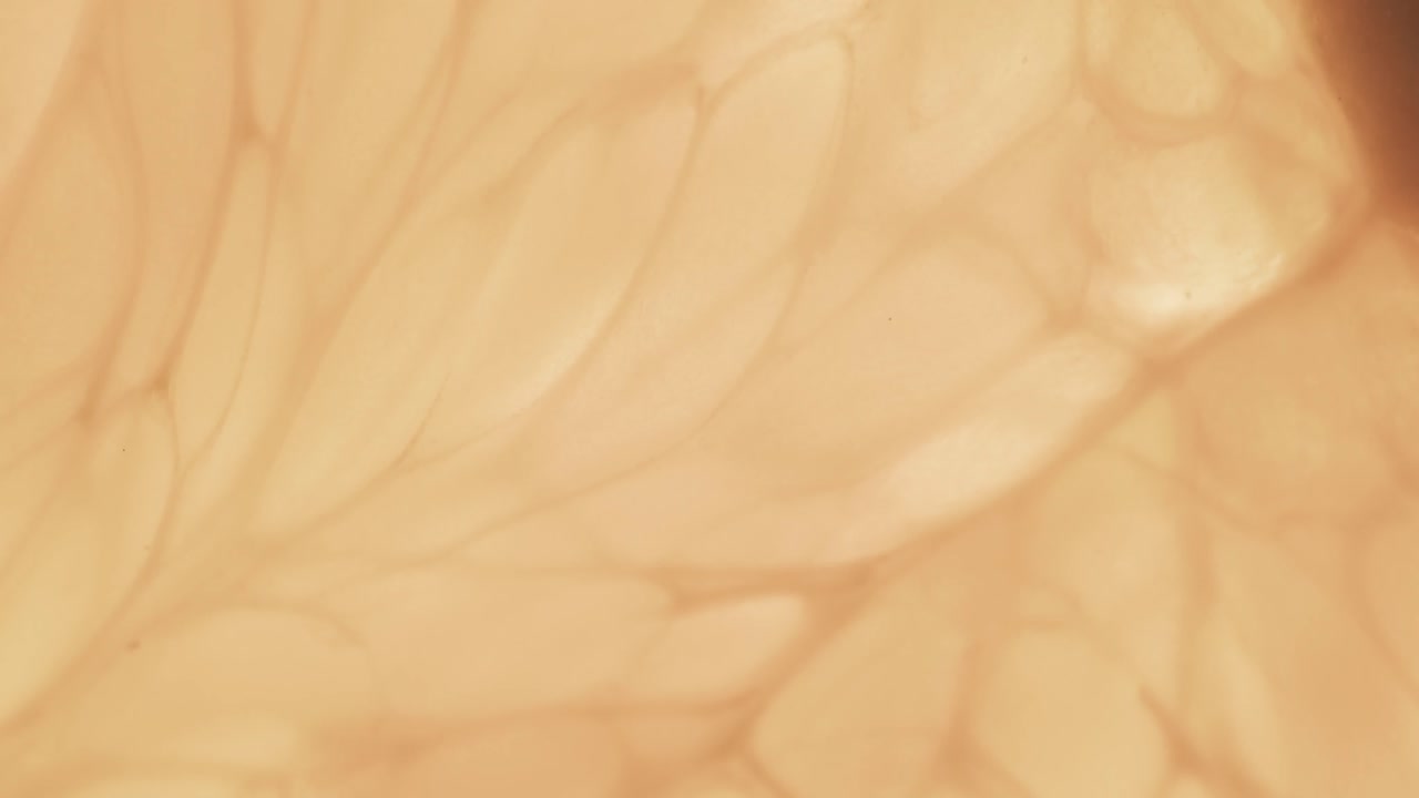 복사 공간과 함께 오렌지 조각의 클로즈업의 마이크로 비디오