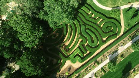 Obenliegender-Schuss-Des-Schönen-Grünen-Heckenlabyrinths,-Umgeben-Von-Bäumen,-Chicago