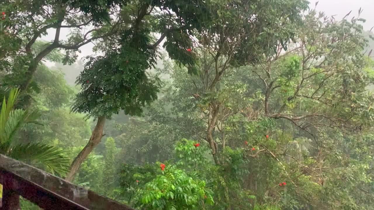 Pemandangan balkon gerak lambat badai hutan hujan Bali