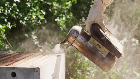 apicultor caucásico en ropa de protección que usa un fumador para calmar a las abejas en una colmena