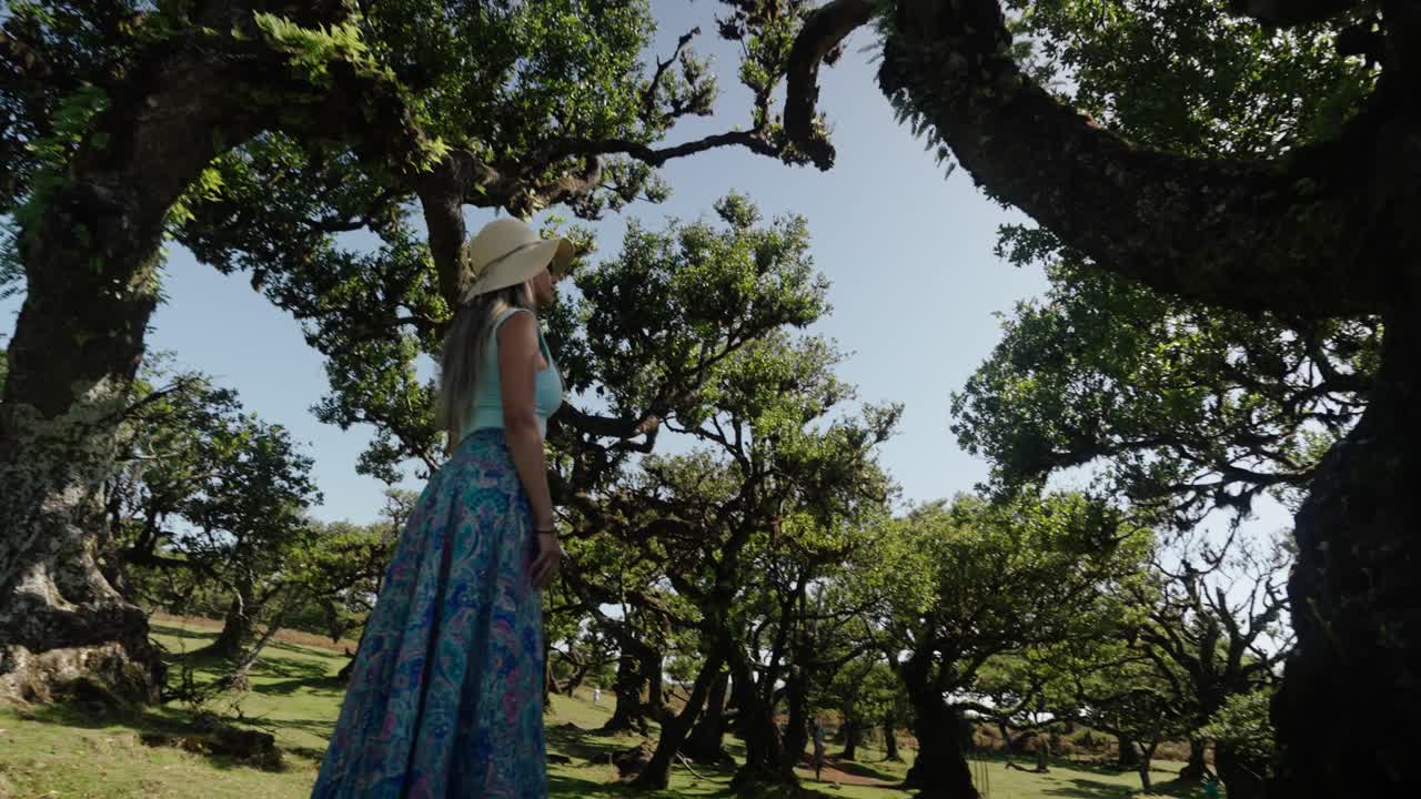Woman in sun hat looks up at ancient laurel trees in Fanal Forest surrounded by green shadows and wild natural beauty
