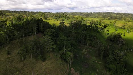 Luftvideo-In-4K-Vom-Regenwald-Costa-Ricas-Mit-Kleinem-Ackerland-Darin