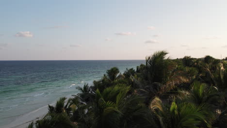 Rising-aerial-reveal-from-behind-palm-trees-to-reveal-tropical-beach-with-white-sand-and-blue-water