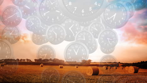 campo de la granja con relojes