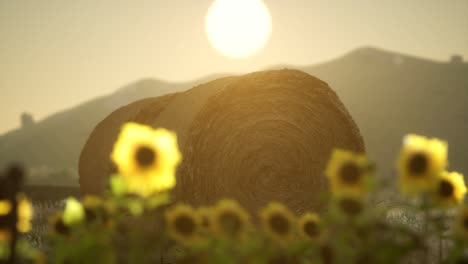 fardos de heno en la puesta de sol