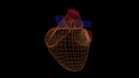 modelo de corazón abstracto girando y pulsando sobre un fondo oscuro.