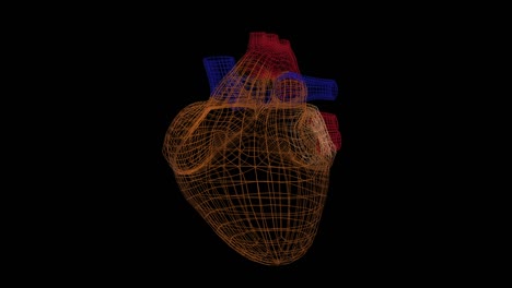 abstract heart model rotating and pulsing on dark background.