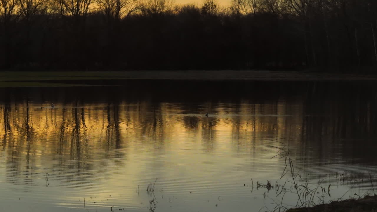 Sunset reflections on Loosahatchie River, serene water, trees silhouette, golden hour, Tennessee park