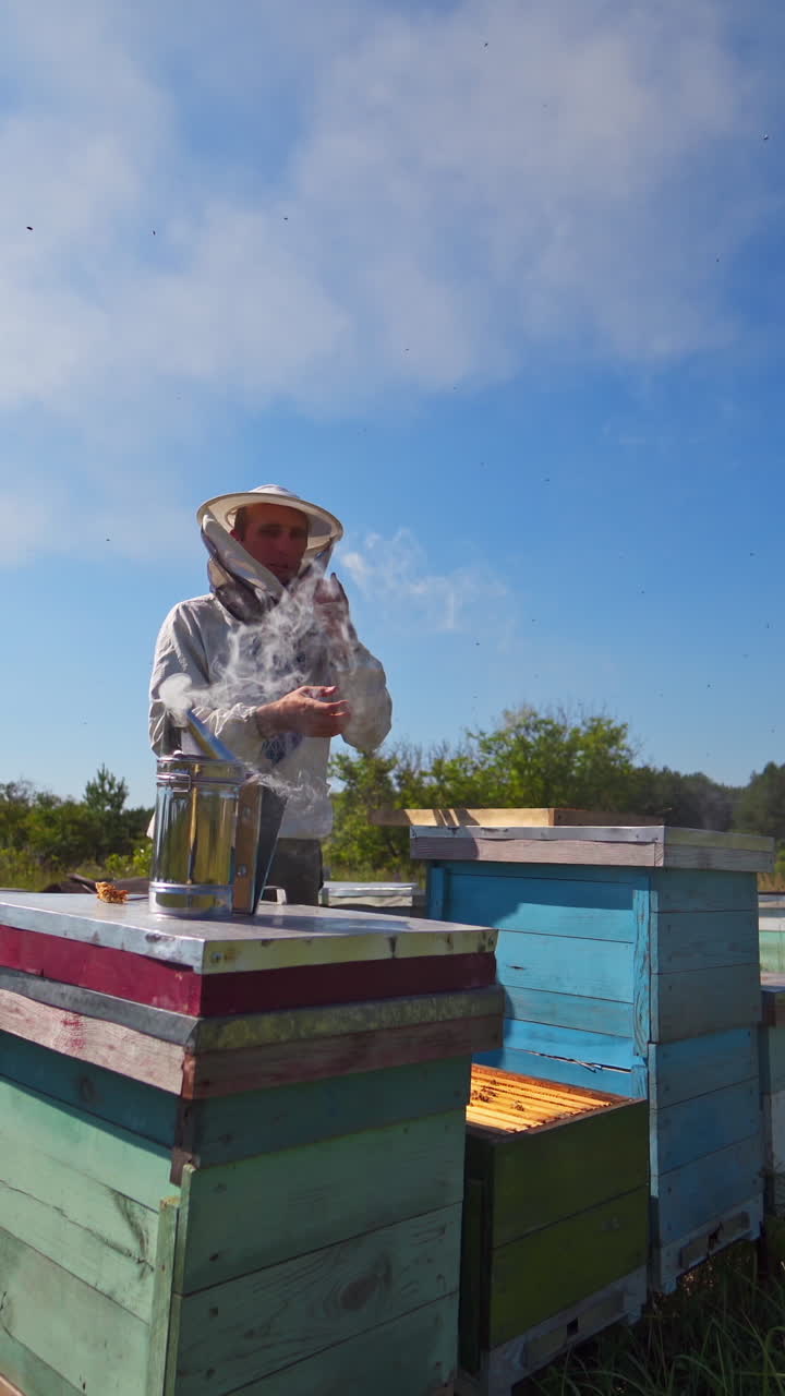 Apiary under blue sky. Chimney with smoke on a beehive. Beekeeper working near wooden hives in summer. Apiculture among green nature. Vertical video