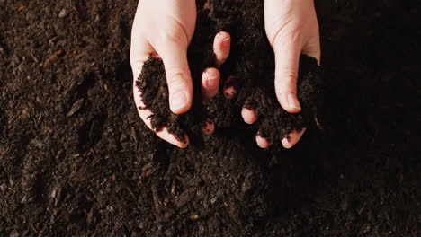 overhead video of hands of caucasian person holding and sifting rich dark soil