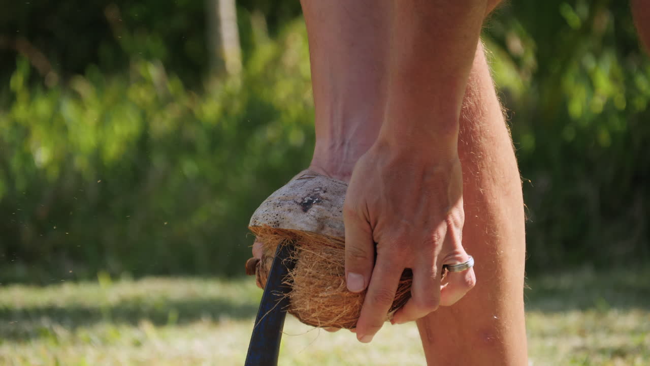 atascar un coco en una punta afilada para sacar la cáscara de la manera tradicional