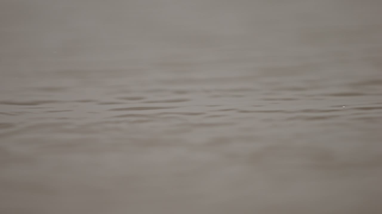 Calm, super slow-motion footage of a tranquil water surface in a nature reserve