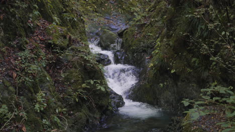 fresh water stream flowing through the rocks in okutama, japan