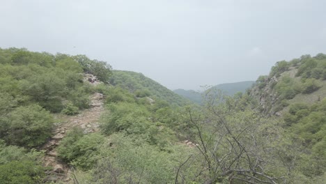 top of mountain to the jungle pan shot