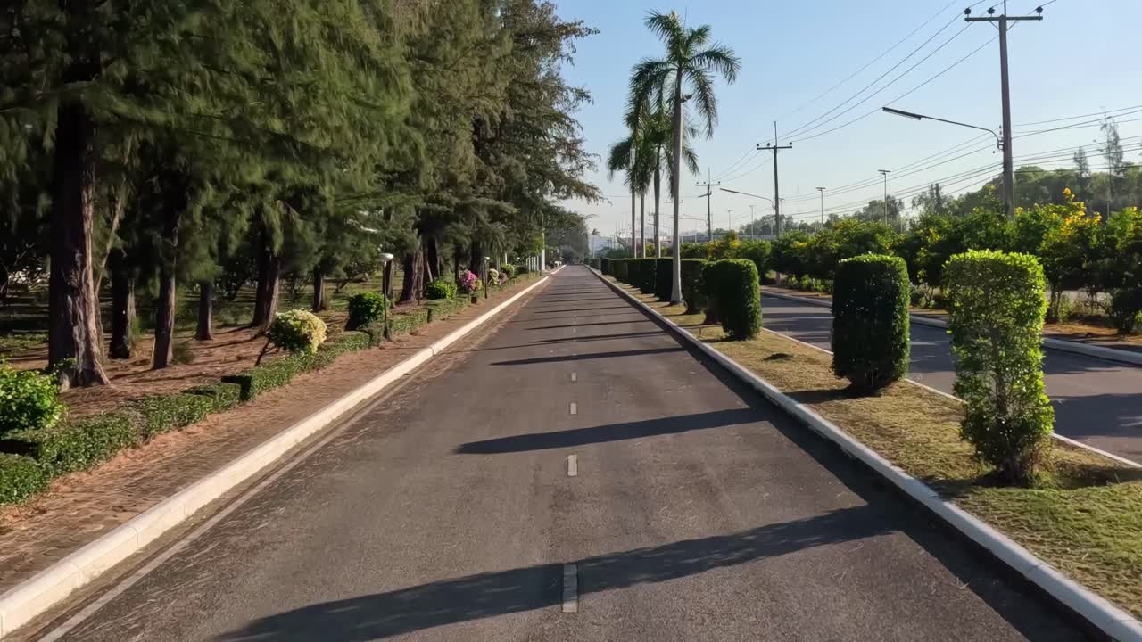 Experience a tranquil drive along a sunlit road flanked by lush greenery and neatly trimmed bushes.