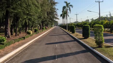 experience a tranquil drive along a sunlit road flanked by lush greenery and neatly trimmed bushes.