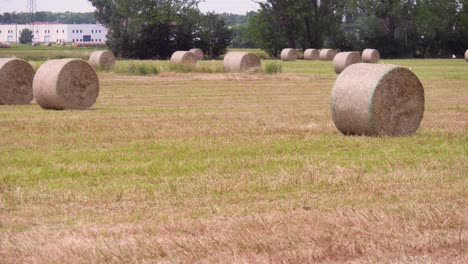 many bales of hay in the countryside in spring time in italy