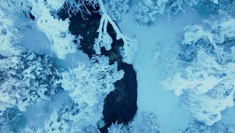 river flowing through forest covered in snow during winter in norway - aerial top down
