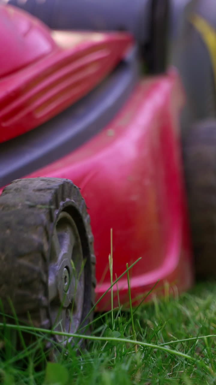 Garden work in summer. Green grass on blur lawn mower background. Motor machine cutting grass. Close-up. Vertical video