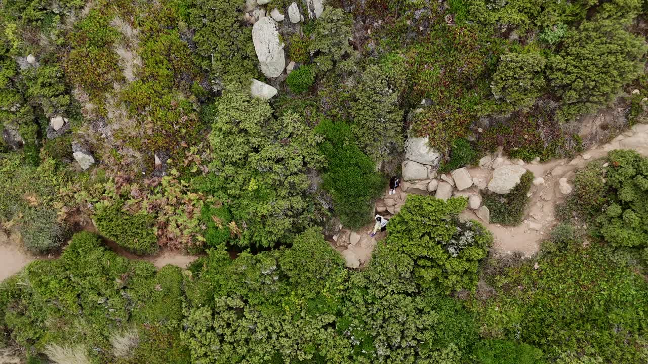 Coastal Hiking Trail with Green Vegetation and Rocks