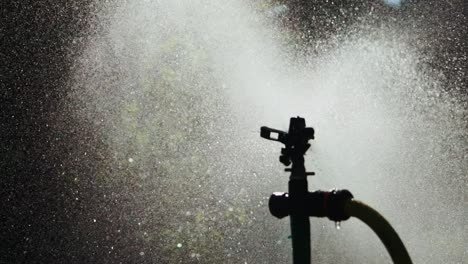 A powerful automatic watering system sprays water in the form of fog on the surrounding area with plants and trees. Close-up. Special drip irrigation.