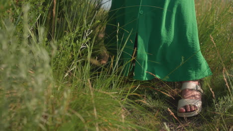 elegant woman in green dress holding camera descends grassy hill with cautious steps, surrounded by wild plants and soft sunlight under clear sky