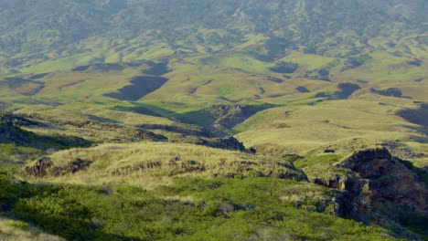 Aerial-view-of-the-Hawaiian-island-Maui-and-its-lush,-rolling-green-hill-landscape