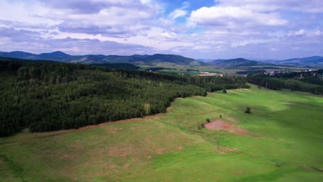paisaje de serbia, vista aérea de las estaciones de montaña de zlatibor campos verdes y bosque de pinos