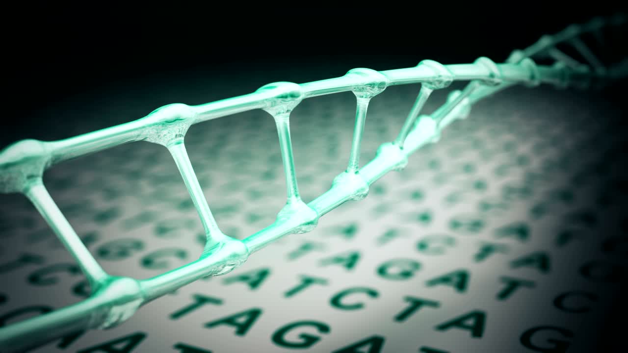 DNA spiral rotating loop